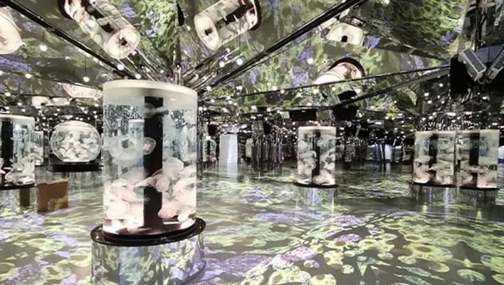 水族館誰負責（水族館的負責人職責和相關信息） 水族館誰負責（水族館的負責人職責和相關信息） 水族館百科（水族館加盟） 第4張