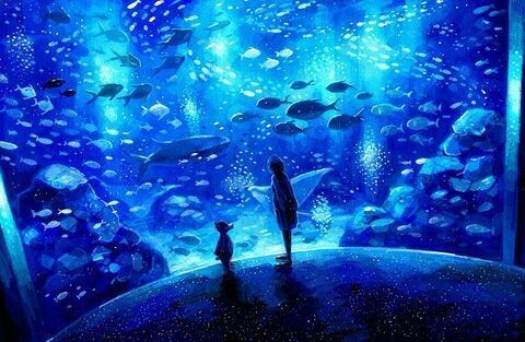 水族館加盟代理怎么樣（上海水族館加盟成功案例分享）