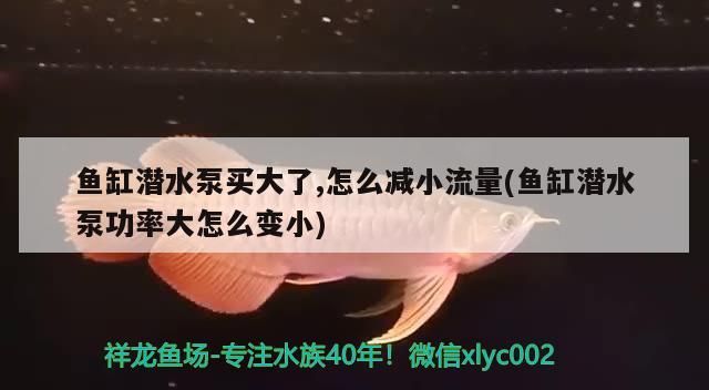魚缸潛水泵買大了,怎么減小流量(魚缸潛水泵功率大怎么變小) 魚缸潛水泵買大了,怎么減小流量(魚缸潛水泵功率大怎么變小) 觀賞魚百科