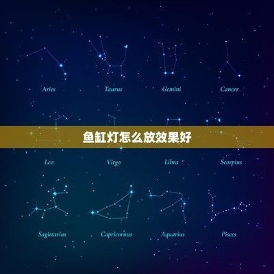 祥龍魚場有限公司官網地址電話號碼(祥龍魚場官方網站)