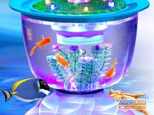 水族館賺錢嗎怎么賺（開設水族館需要考慮哪些成本）
