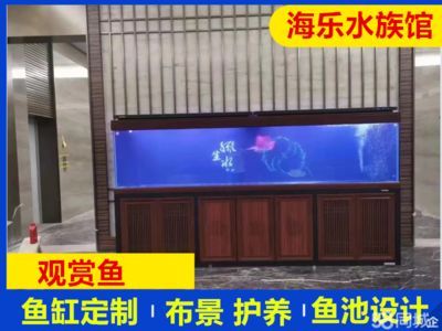 東莞龍魚vs東莞水族批發市場vs東莞水族館vs東莞魚缸批發市場vs祥龍魚場:東莞水族批發市場 祥龍魚場各市分站 第6張 東莞龍魚vs東莞水族批發市場vs東莞水族館vs東莞魚缸批發市場vs祥龍魚場:東莞水族批發市場 東莞龍魚vs東莞水族批發市場vs東莞水族館vs東莞魚缸批發市場vs祥龍魚場:東莞水族批發市場 祥龍魚場各市分站 第6張