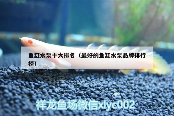 魚缸水泵10大品牌，魚缸水泵品牌性價比排行