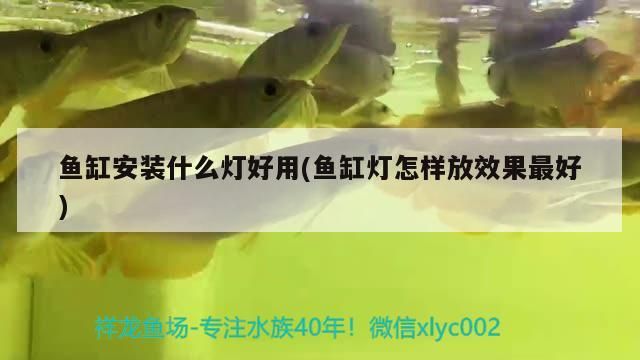 魚(yú)缸安裝什么燈好用(魚(yú)缸燈怎樣放效果最好)