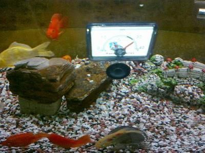 瑞龍魚缸產品介紹大全，瑞龍魚缸產品