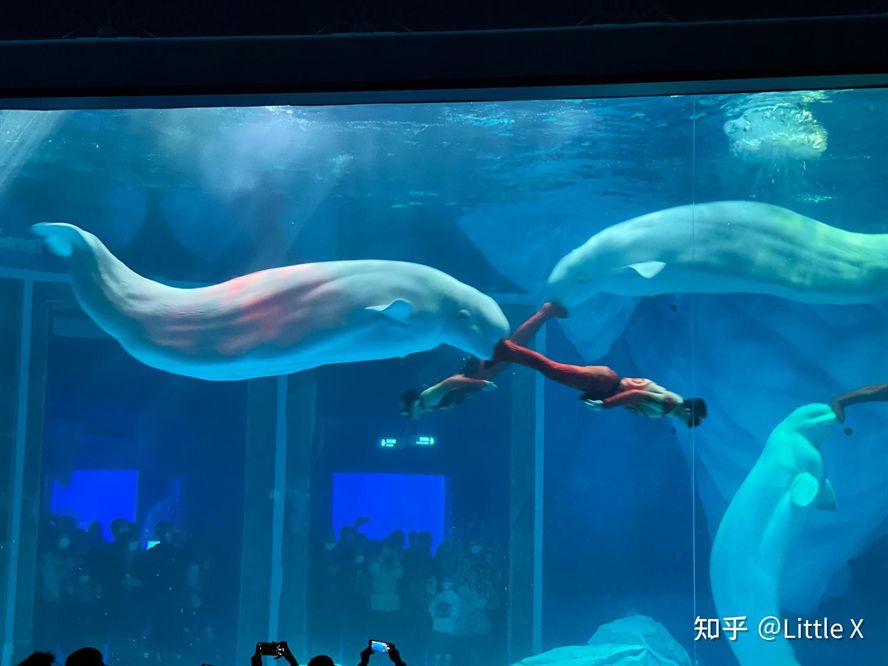 水族館 知乎：全球第一座水族館于北京海洋魚類及生物達千余種、數(shù)萬尾