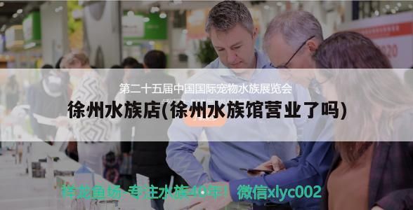 徐州水族店(徐州水族館營(yíng)業(yè)了嗎) 錦鯉魚百科 第3張 徐州水族店(徐州水族館營(yíng)業(yè)了嗎) 徐州水族店(徐州水族館營(yíng)業(yè)了嗎) 錦鯉魚百科 第3張