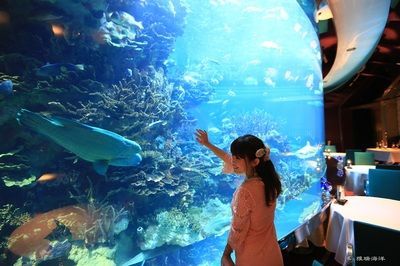 水族館生物過濾系統(tǒng)的最新進展 水族館生物過濾系統(tǒng)的最新進展 水族館百科（水族館加盟） 第5張