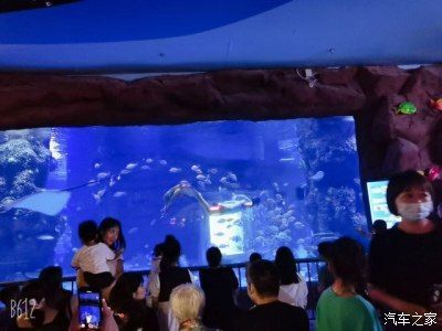 用戶反饋對水族館運營影響
