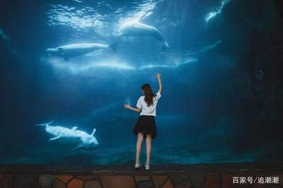 用戶反饋對水族館運(yùn)營影響