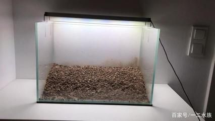 30厘米魚缸的沉木造景：30厘米魚缸沉木造景技巧三角景風格的魚缸造景技巧