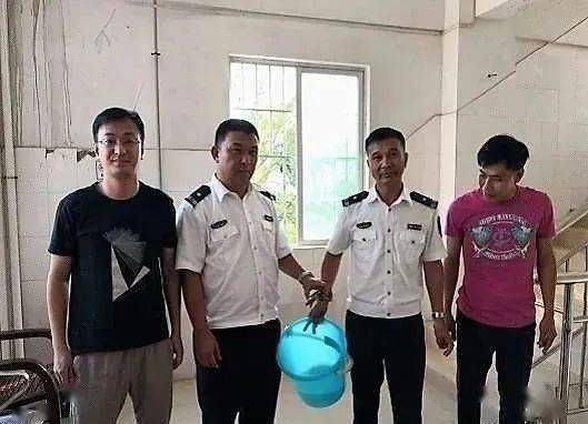 豬鼻龜保護等級：豬鼻龜是幾級保護動物 豬鼻龜保護等級：豬鼻龜是幾級保護動物 豬鼻龜百科 第8張
