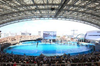 水族館門票圖片（上海水族館門票價格）