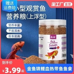 亞洲龍魚包括的種類為哪些魚(亞洲龍魚包括的種類為哪些魚類)