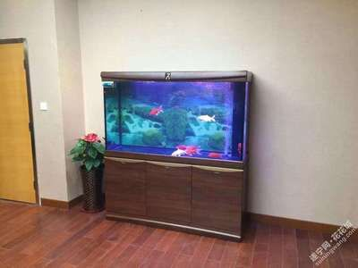 7s魚(yú)缸售后電話(huà):7s魚(yú)缸售后服務(wù) 魚(yú)缸百科 第4張 7s魚(yú)缸售后電話(huà):7s魚(yú)缸售后服務(wù) 7s魚(yú)缸售后電話(huà):7s魚(yú)缸售后服務(wù) 魚(yú)缸百科 第4張