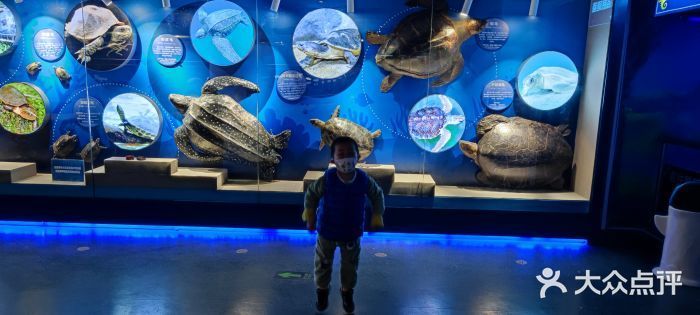 水族館開業宣傳語朋友圈：水族館開業大酬賓