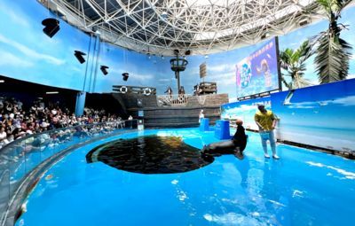 水族館開(kāi)業(yè)宣傳語(yǔ)朋友圈：水族館開(kāi)業(yè)大酬賓