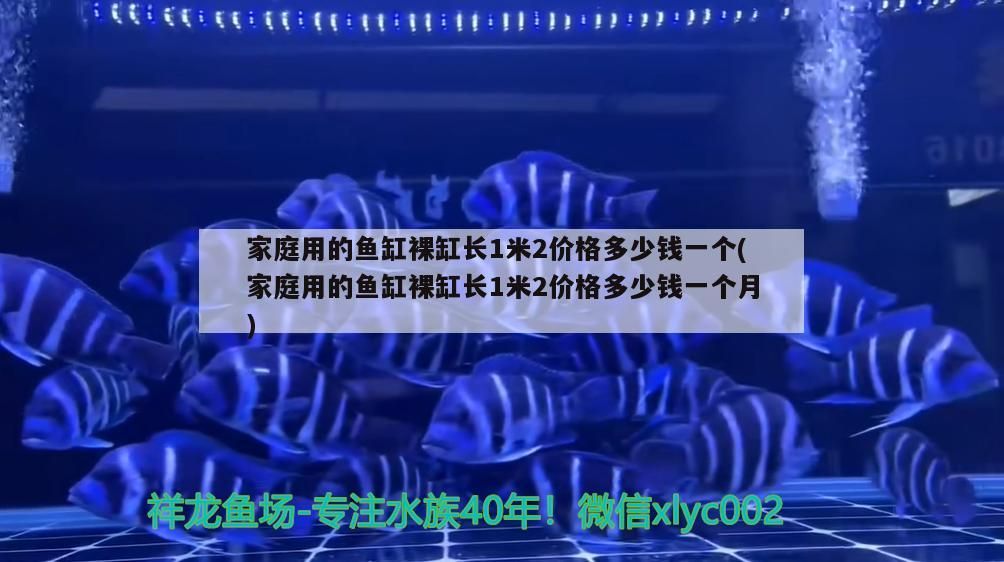 家庭用的魚缸裸缸長1米2價格多少錢一個(家庭用的魚缸裸缸長1米2價格多少錢一個月)