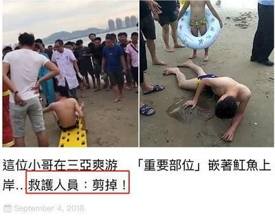魟魚扎人：[需手動填充]魚為什么會扎人？