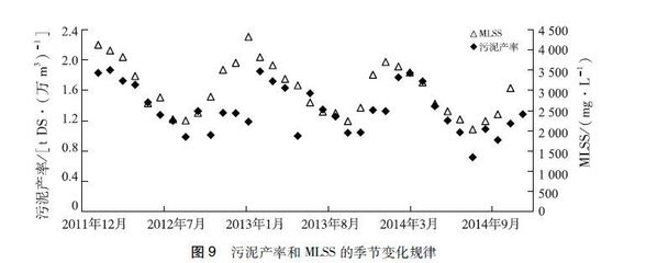 新手養銀龍魚入門視頻教學(銀龍魚適合新手養嗎) 新手養銀龍魚入門視頻教學(銀龍魚適合新手養嗎) 銀龍魚百科 第2張