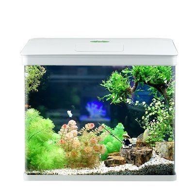 布蘭格迪魚缸，布蘭格迪魚缸價格對比布蘭格迪魚缸價格對比