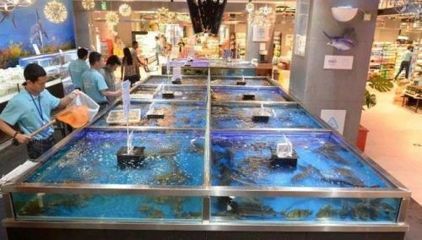 水族館進貨渠道（水族館進貨渠道的優化策略）