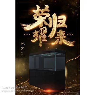 龍魚撞缸vs祥龍魚場：如何預防龍魚撞缸 龍魚撞缸vs祥龍魚場：如何預防龍魚撞缸 vs祥龍魚場 第4張