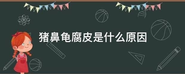豬鼻龜身上白色腐爛怎么辦啊圖片:豬鼻龜背甲白色腐爛怎么辦 豬鼻龜百科 第6張 豬鼻龜身上白色腐爛怎么辦啊圖片:豬鼻龜背甲白色腐爛怎么辦 豬鼻龜身上白色腐爛怎么辦啊圖片:豬鼻龜背甲白色腐爛怎么辦 豬鼻龜百科 第6張