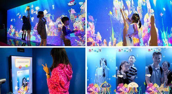 水族館互動區域的創意案例：水族館互動區域的設計與實施