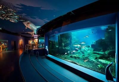 水族館是什么行業（水族館行業市場規模分析） 水族館是什么行業（水族館行業市場規模分析） 水族館百科（水族館加盟） 第2張