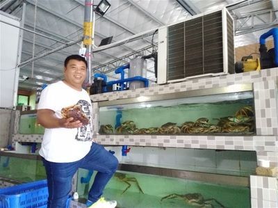海南水族批發(fā)市場在哪里（海南水產(chǎn)品批發(fā)市場）