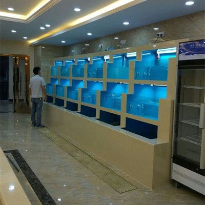 海南水族批發市場在哪里（海南水產品批發市場）