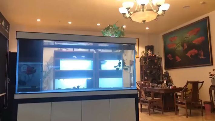 那曲龍魚vs那曲水族批發市場vs那曲水族館vs那曲魚缸批發市場vs祥龍魚場：西藏那曲地區的水族市場及相關信息 那曲龍魚vs那曲水族批發市場vs那曲水族館vs那曲魚缸批發市場vs祥龍魚場：西藏那曲地區的水族市場及相關信息 祥龍魚場各市分站 第1張