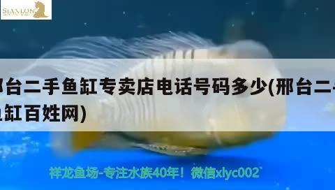 邢臺(tái)二手魚(yú)缸專(zhuān)賣(mài)店電話號(hào)碼多少(邢臺(tái)二手魚(yú)缸百姓網(wǎng))