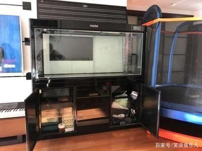 9條魚需要多大的魚缸：21篇養(yǎng)9條魚的魚缸尺寸養(yǎng)9條魚的魚缸尺寸養(yǎng)9條魚的魚缸規(guī)格 9條魚需要多大的魚缸：21篇養(yǎng)9條魚的魚缸尺寸養(yǎng)9條魚的魚缸尺寸養(yǎng)9條魚的魚缸規(guī)格 魚缸百科 第5張