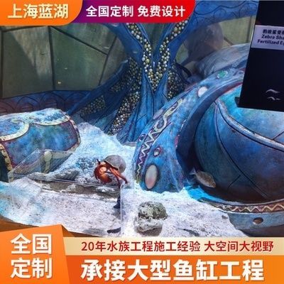 水族館施工過程：水族館施工過程的詳細(xì)信息