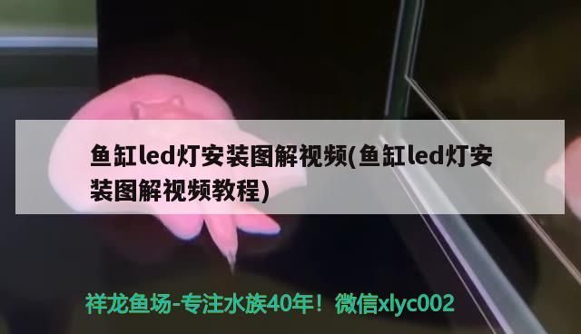 魚缸led燈安裝圖解視頻(魚缸led燈安裝圖解視頻教程) 魚缸led燈安裝圖解視頻(魚缸led燈安裝圖解視頻教程) 觀賞魚百科