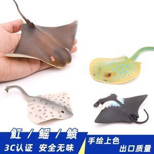 魟魚喂食器:如何選擇魟魚喂食器 魟魚百科 第1張 魟魚喂食器:如何選擇魟魚喂食器 魟魚喂食器:如何選擇魟魚喂食器 魟魚百科 第1張