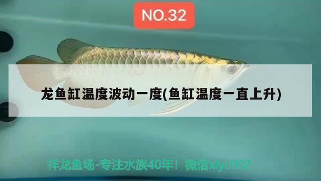 熱帶魚混養(yǎng)水溫波動影響，-水溫波動對熱帶魚混養(yǎng)有著重要影響的措施