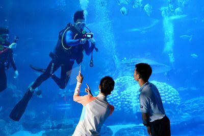 開一家水族館需要些什么？：開一家水族館需要準備什么