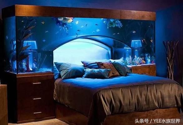 觀賞魚缸換水后放啥藥(魚缸放過魚藥后用全部換水嗎)