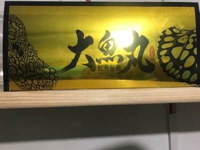 龍虎魟魚怎么檢疫：龍虎魟魚的檢疫方法