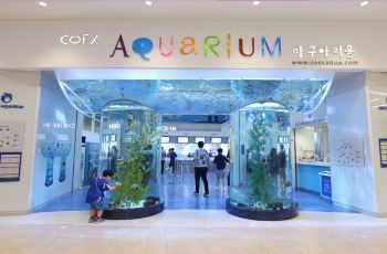 水族館游玩時間：水族館游玩時間的選擇與規劃