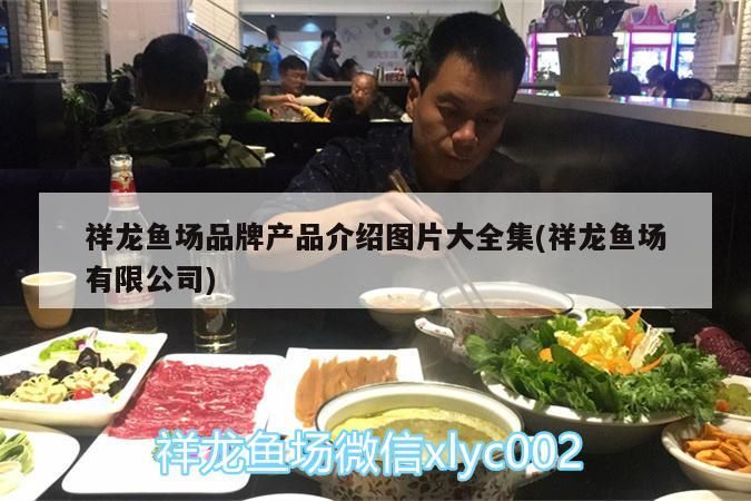 祥龍魚場品牌產品介紹圖片大全集(祥龍魚場有限公司)