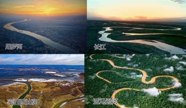 亞馬遜河魚類生態位分布，亞馬遜河的魚類生態位分布