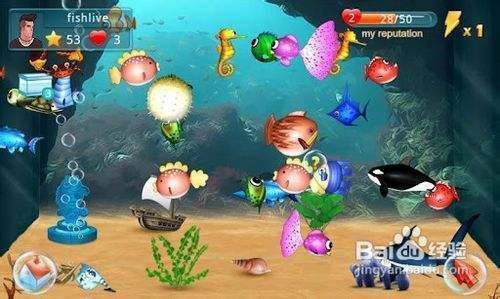 水族館的游戲(水族館游戲中的稀有魚類) 水族館百科(水族館加盟) 第3張 水族館的游戲(水族館游戲中的稀有魚類) 水族館的游戲(水族館游戲中的稀有魚類) 水族館百科(水族館加盟) 第3張