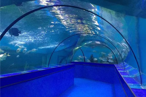 水族館一年能賺多少錢人民幣啊知乎：上海海洋水族館一年能賺多少錢人民幣的詳細分析