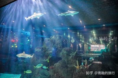 水族館一年能賺多少錢人民幣啊知乎：上海海洋水族館一年能賺多少錢人民幣的詳細分析