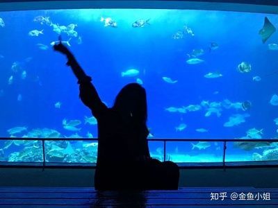 水族館一年能賺多少錢人民幣啊知乎：上海海洋水族館一年能賺多少錢人民幣的詳細分析