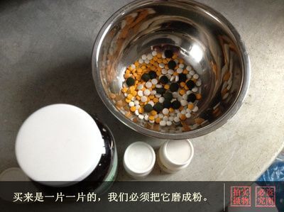 黃金貓魚幼魚飼料自制方法（自制黃金貓魚幼魚飼料的方法）